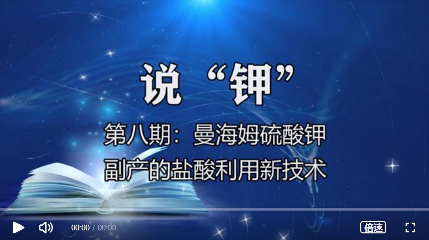 《說(shuō)“鉀”》第八期：以曼海姆等工業(yè)副產(chǎn)鹽酸為原料的新技術(shù)