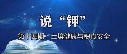 糧食安全◆土壤健康◆有機(jī)小分子