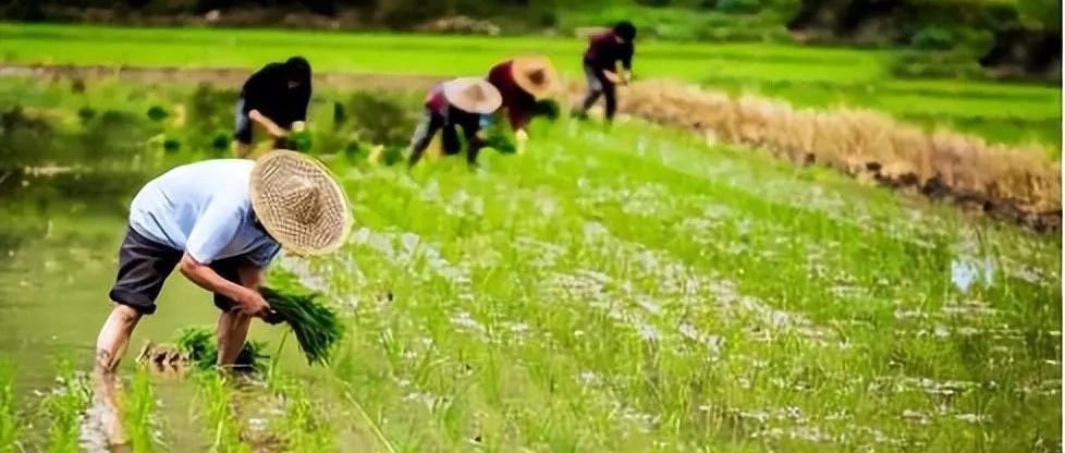 《黑海糧食外運(yùn)協(xié)議》中止，糧價(jià)有望反彈進(jìn)而提振肥市