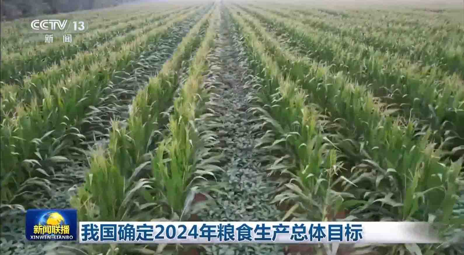 2024糧食生產(chǎn)總目標(biāo)確定，新增玉米、小麥、大豆各100個(gè)提單產(chǎn)推進(jìn)縣！