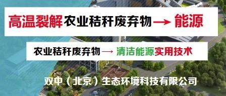 南寧會議報告回放——王紅軍：高溫裂解農業(yè)秸稈廢棄物轉化清潔能源